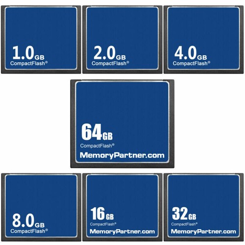 Scheda memoria indmem oem - indmem,